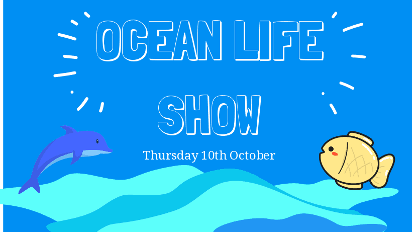Ocean-life-show-design