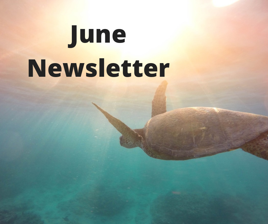 June-Newsletter-20